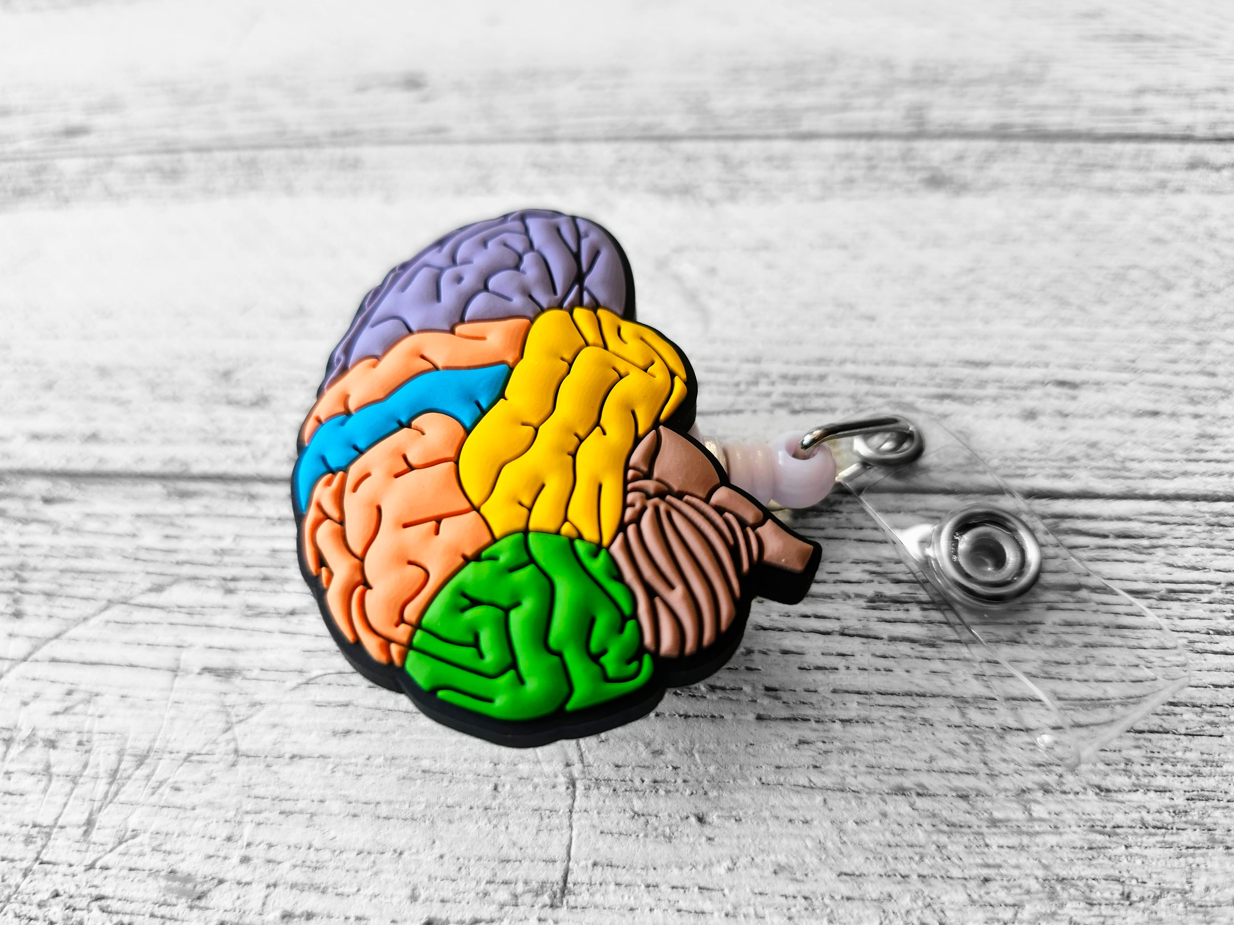 Anatomical Contoured Brain Neurology Retractable ID Badge Reel