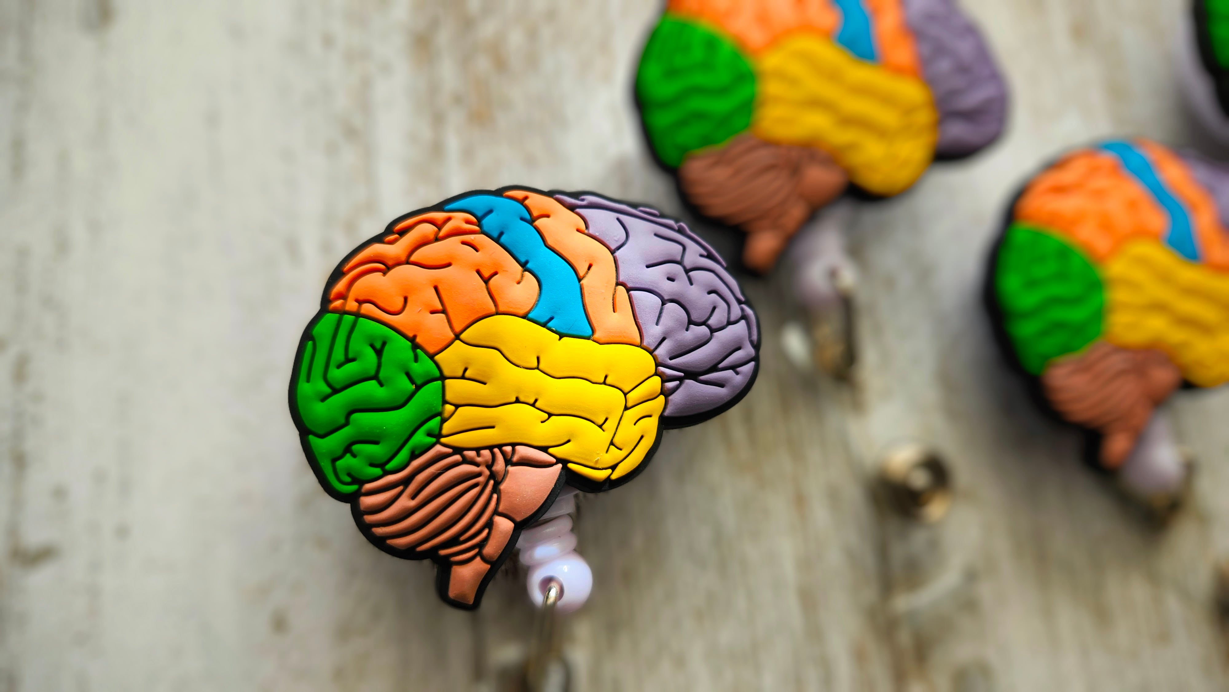 Anatomical Contoured Brain Neurology Retractable ID Badge Reel