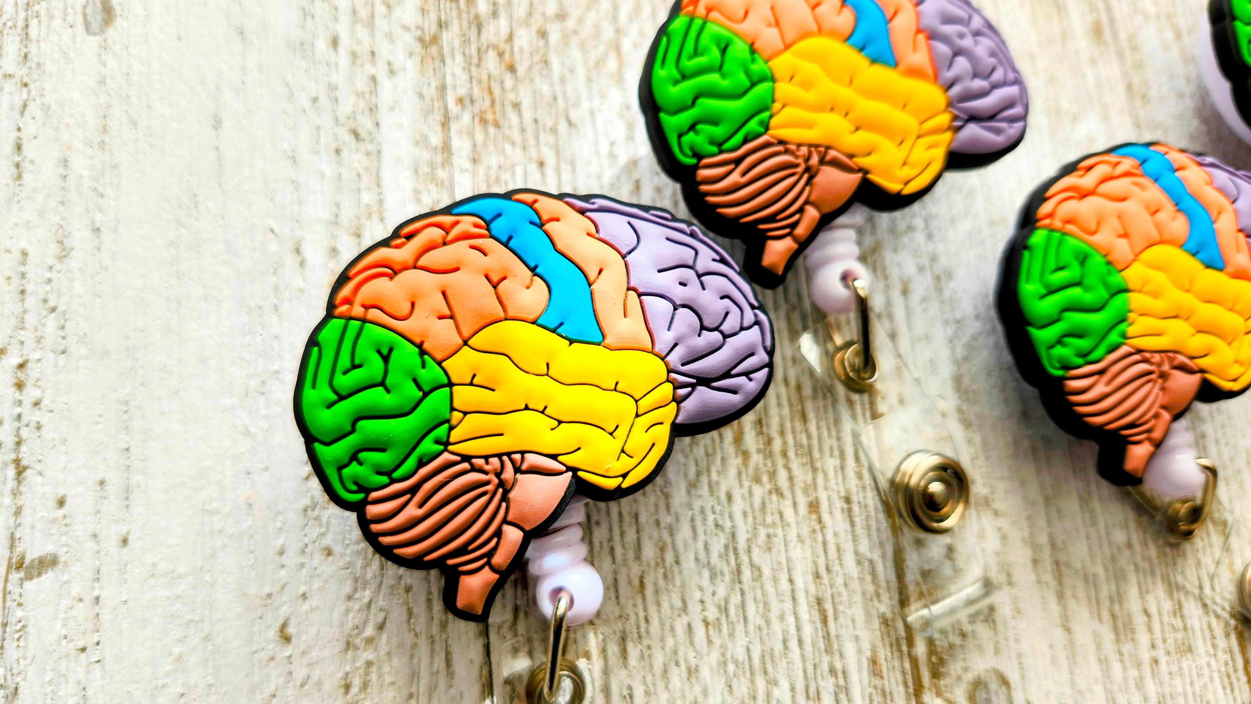 Anatomical Contoured Brain Neurology Retractable ID Badge Reel