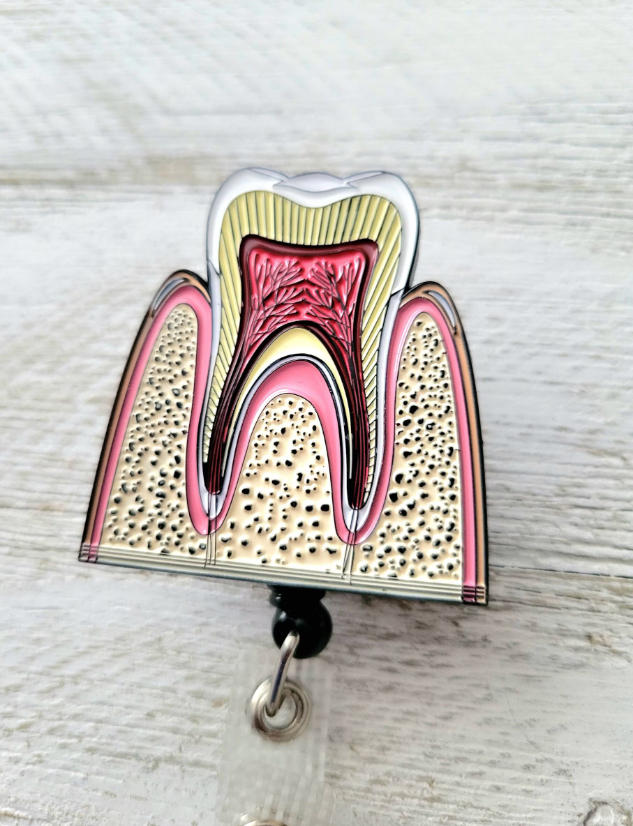 Anatomical Teeth Retractable ID Badge Reel