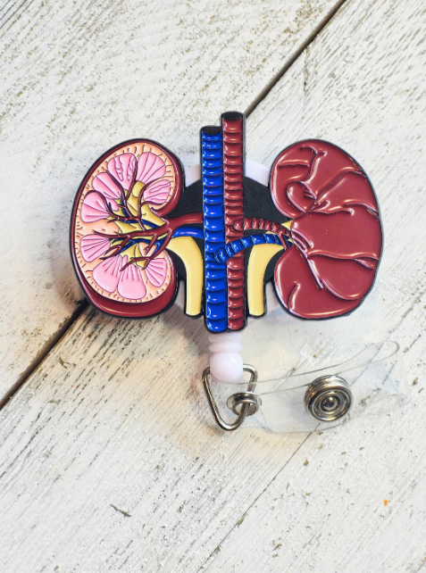 Anatomical Kidney Retractable ID Badge Reel