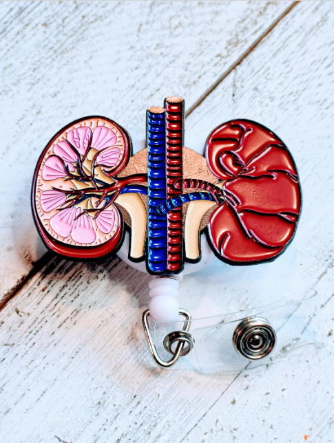 Anatomical Kidney Retractable ID Badge Reel