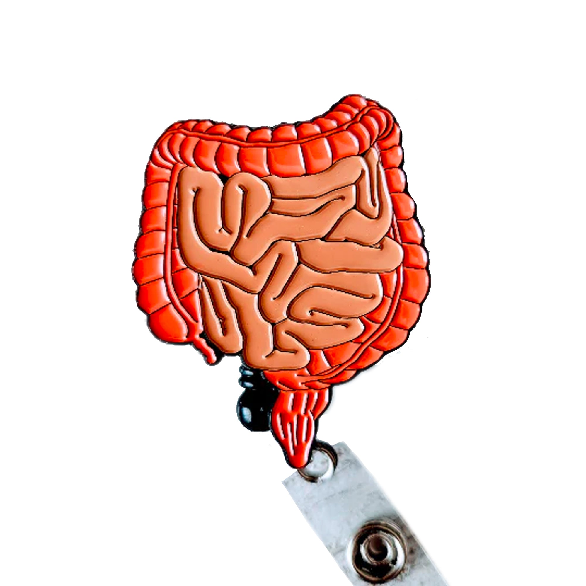 Anatomical Gastrointestinal/GI Retractable Badge Reel