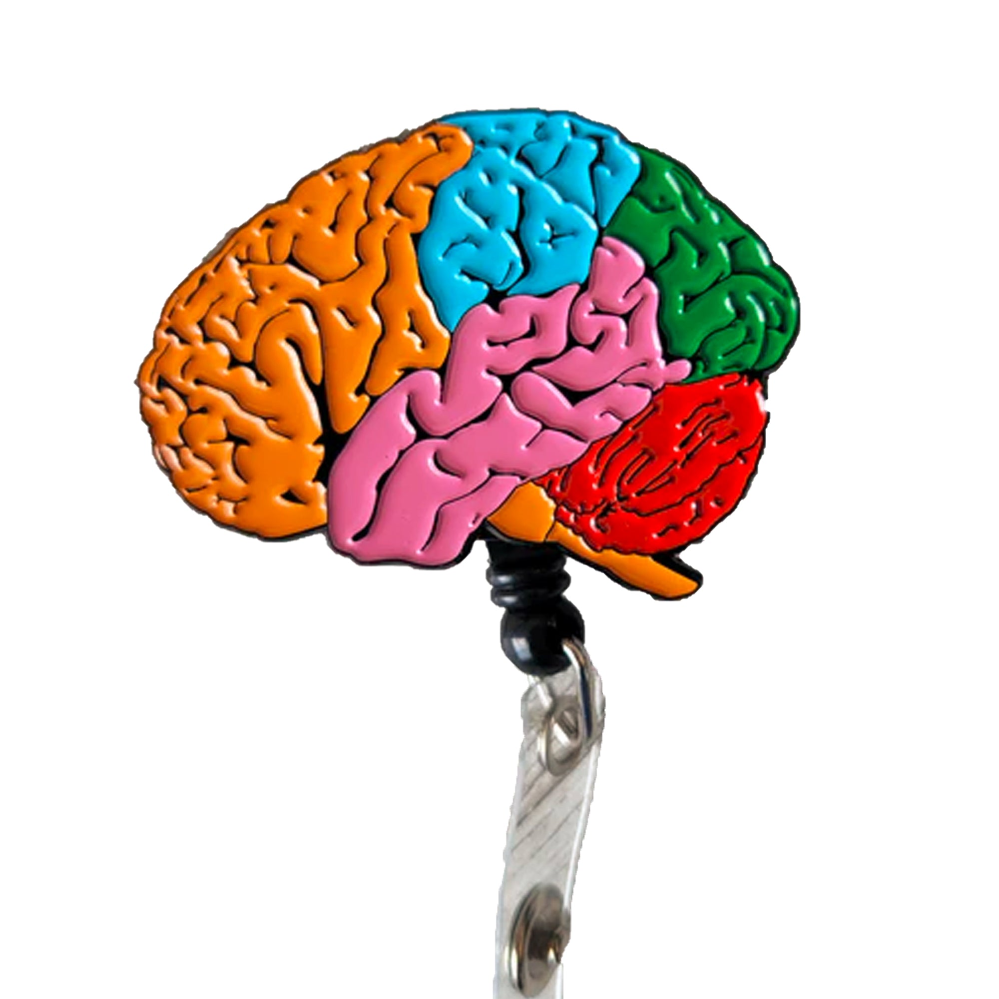 Anatomical Brain Neurology Retractable ID Badge Reel