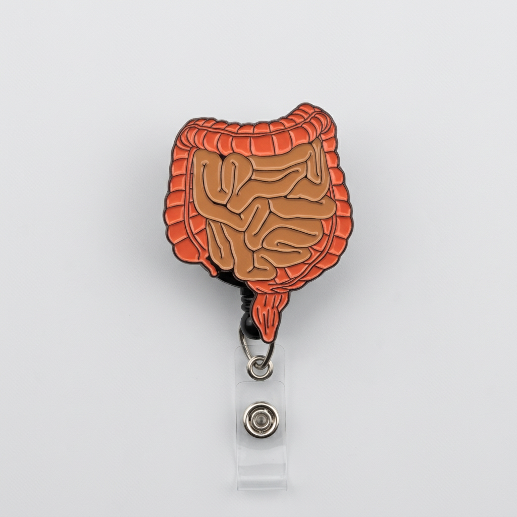 An anatomical badge reel depicting the gastrointestinal system, with orange and brown tones, attached to a retractable metal reel.