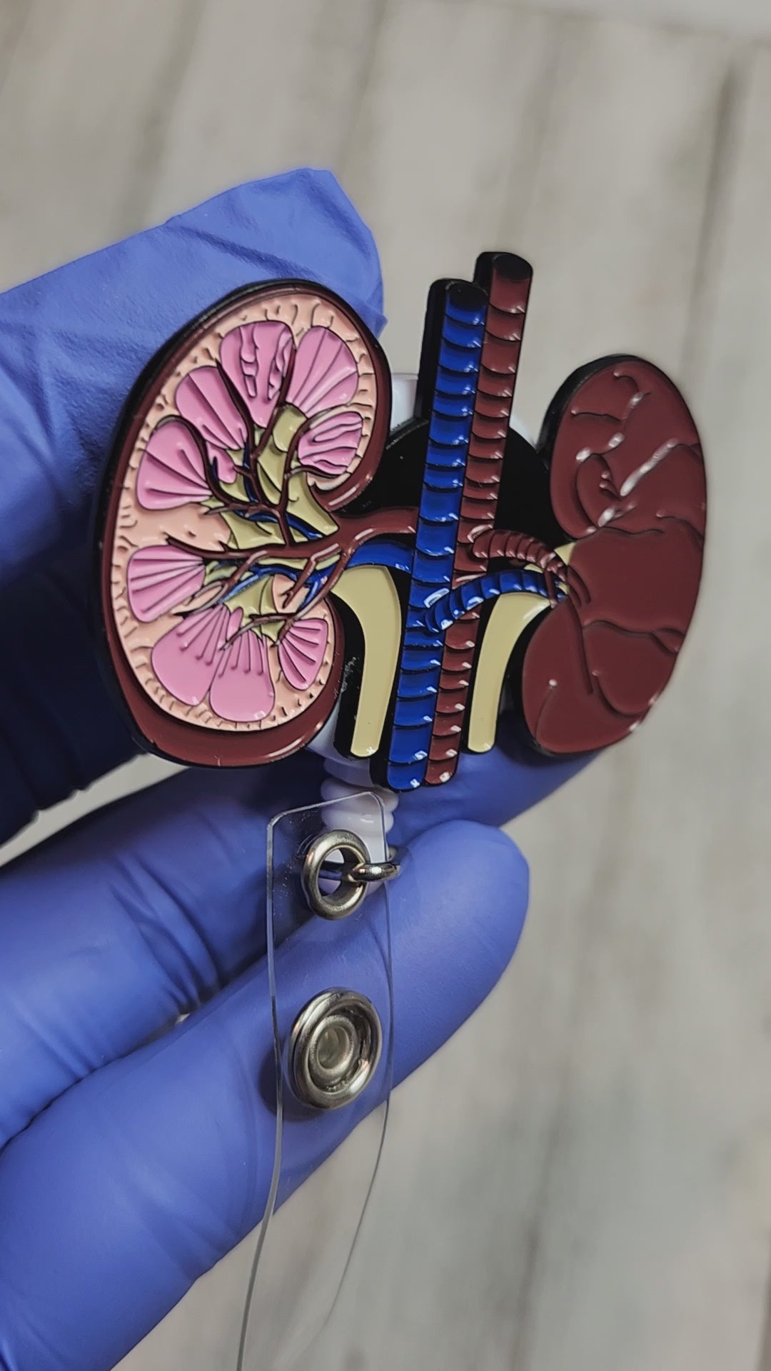 Anatomical Kidney Retractable ID Badge Reel