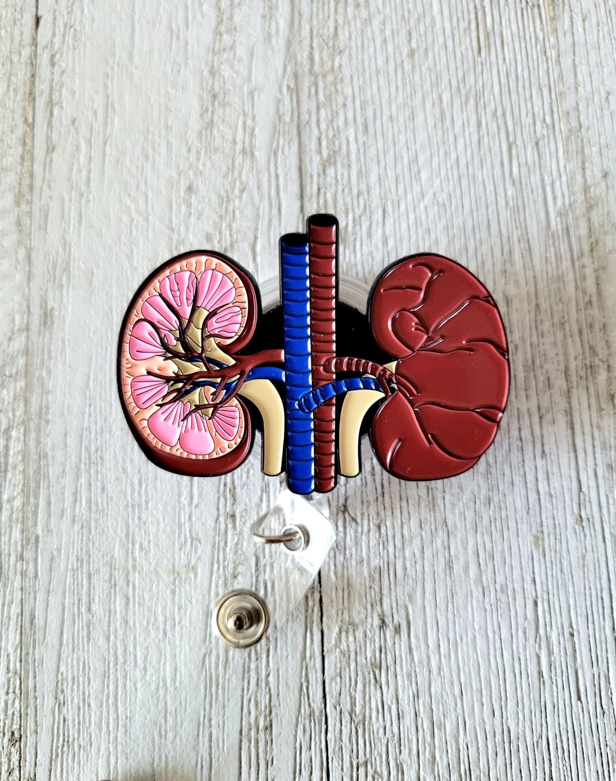 Anatomical Kidney Retractable ID Badge Reel