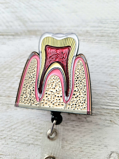 Anatomical Teeth Retractable ID Badge Reel