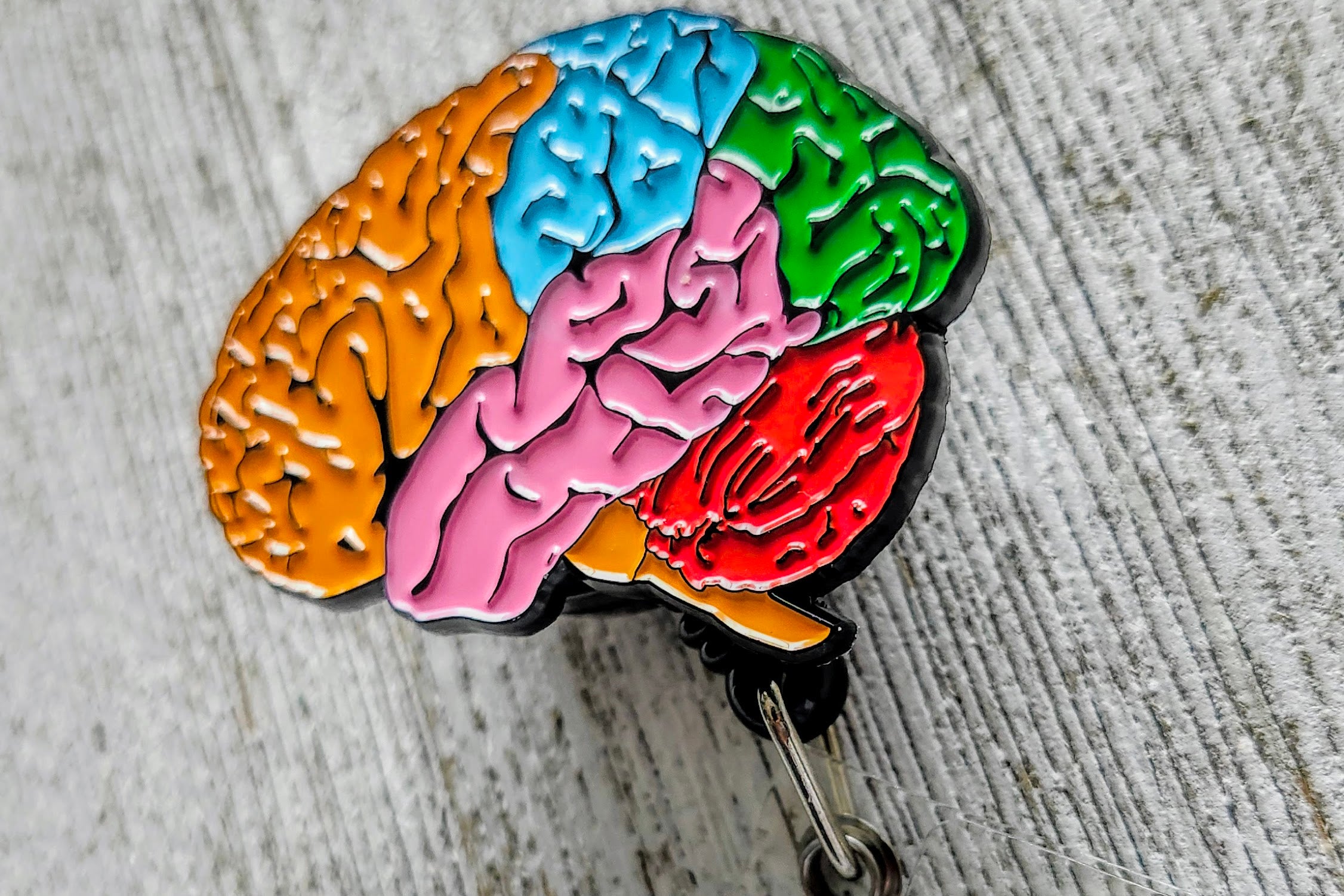 Anatomical Brain Neurology Retractable ID Badge Reel