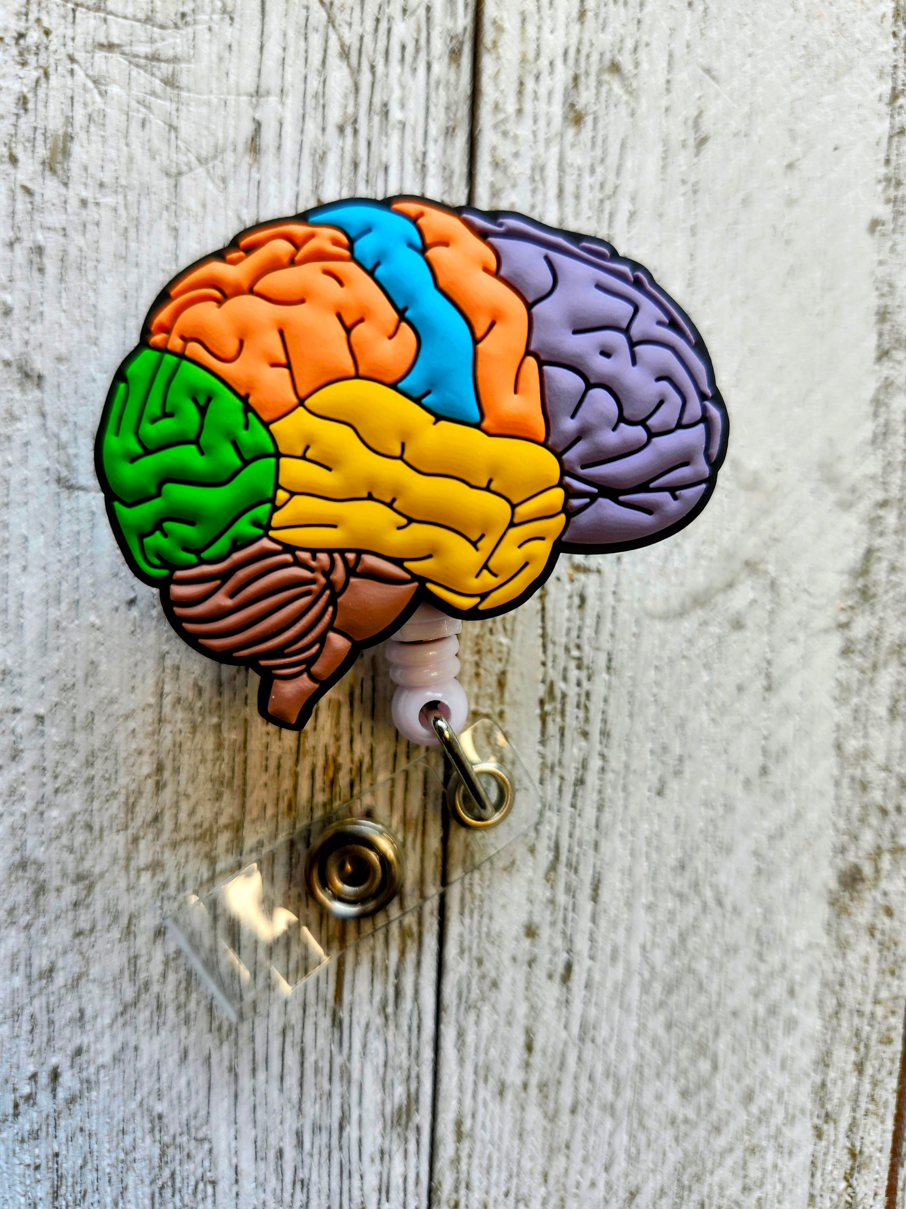 Anatomical Contoured Brain Neurology Retractable ID Badge Reel