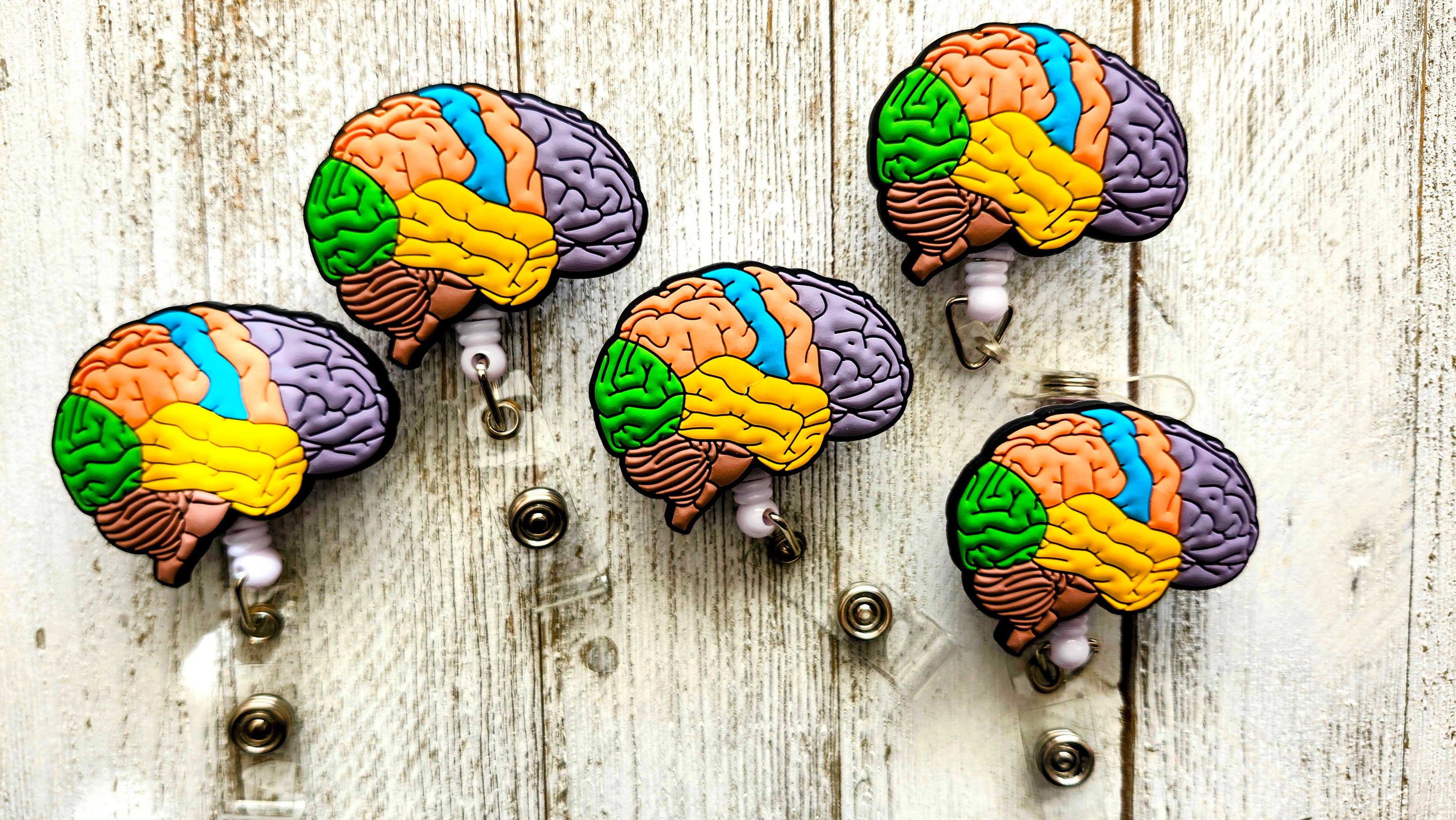Anatomical Contoured Brain Neurology Retractable ID Badge Reel