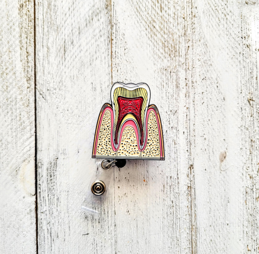 Anatomical Teeth Retractable ID Badge Reel