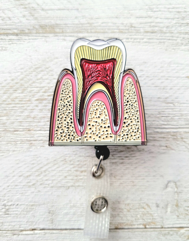 Anatomical Teeth Retractable ID Badge Reel