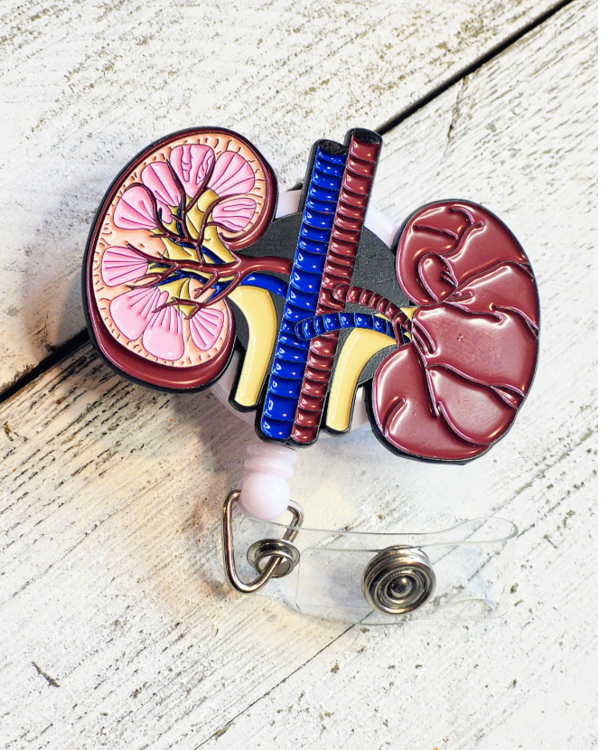 Anatomical Kidney Retractable ID Badge Reel