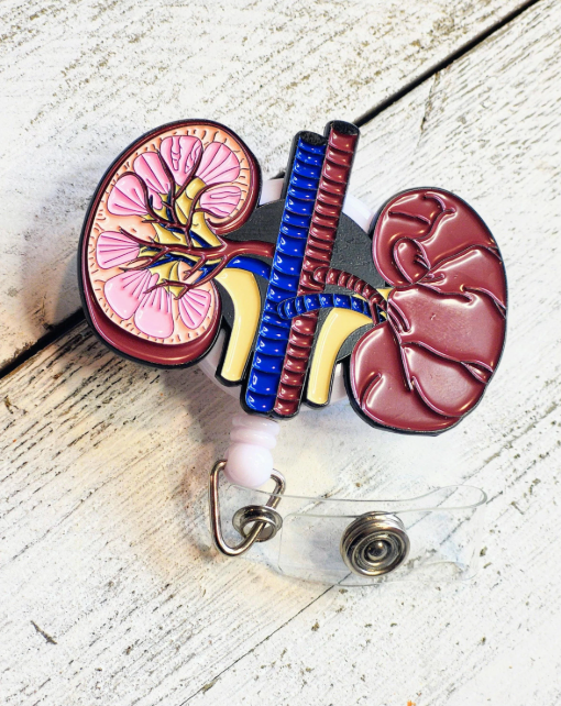 Anatomical Kidney Retractable ID Badge Reel