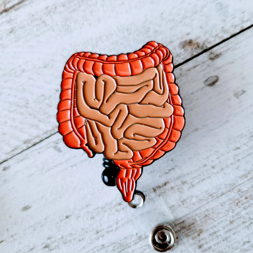 Anatomical Gastrointestinal/GI Retractable Badge Reel