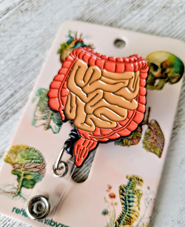 Anatomical Gastrointestinal/GI Retractable Badge Reel