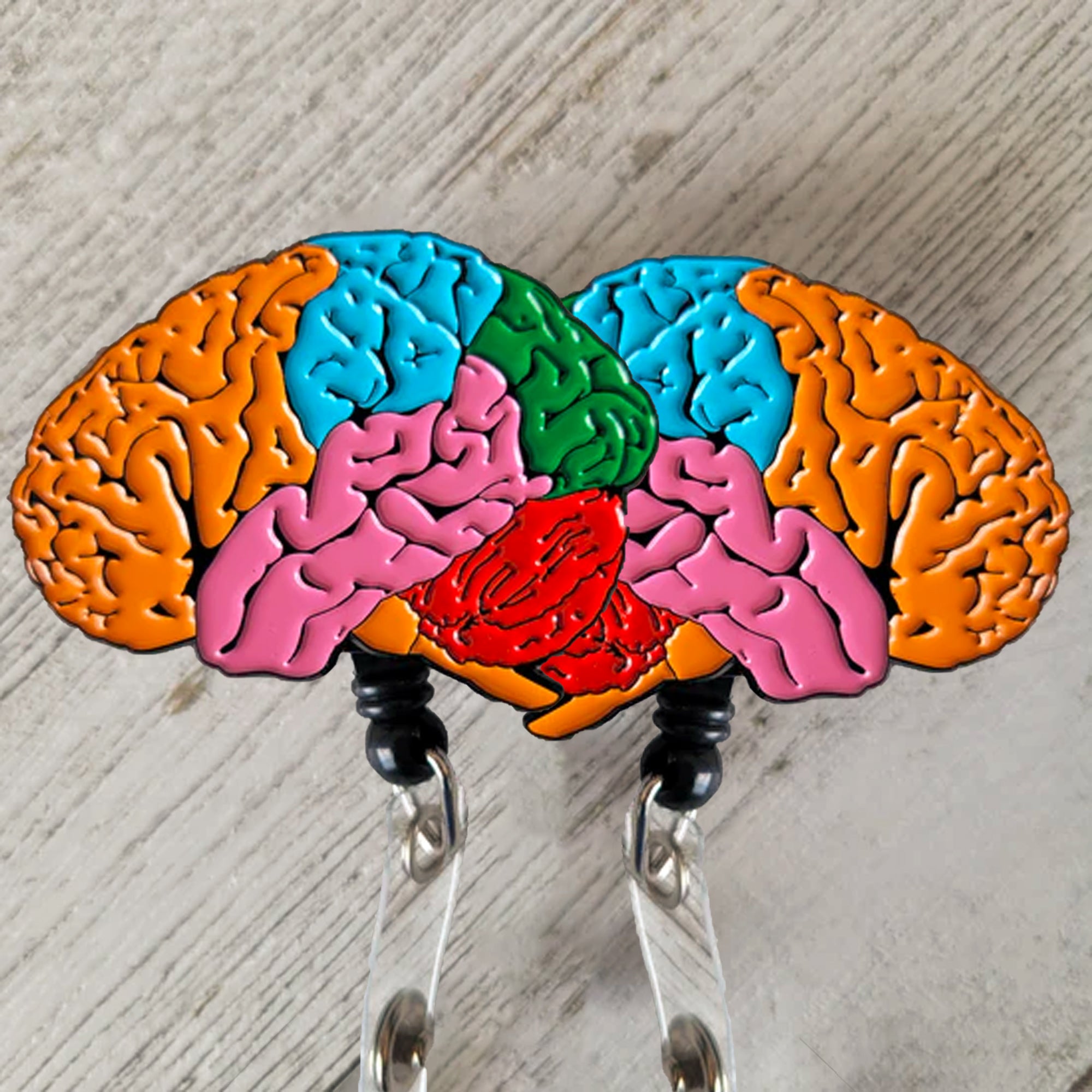Anatomical Brain Neurology Retractable ID Badge Reel