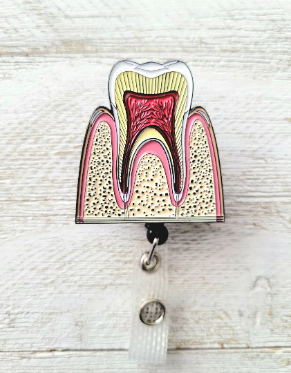 Anatomical Teeth Retractable ID Badge Reel