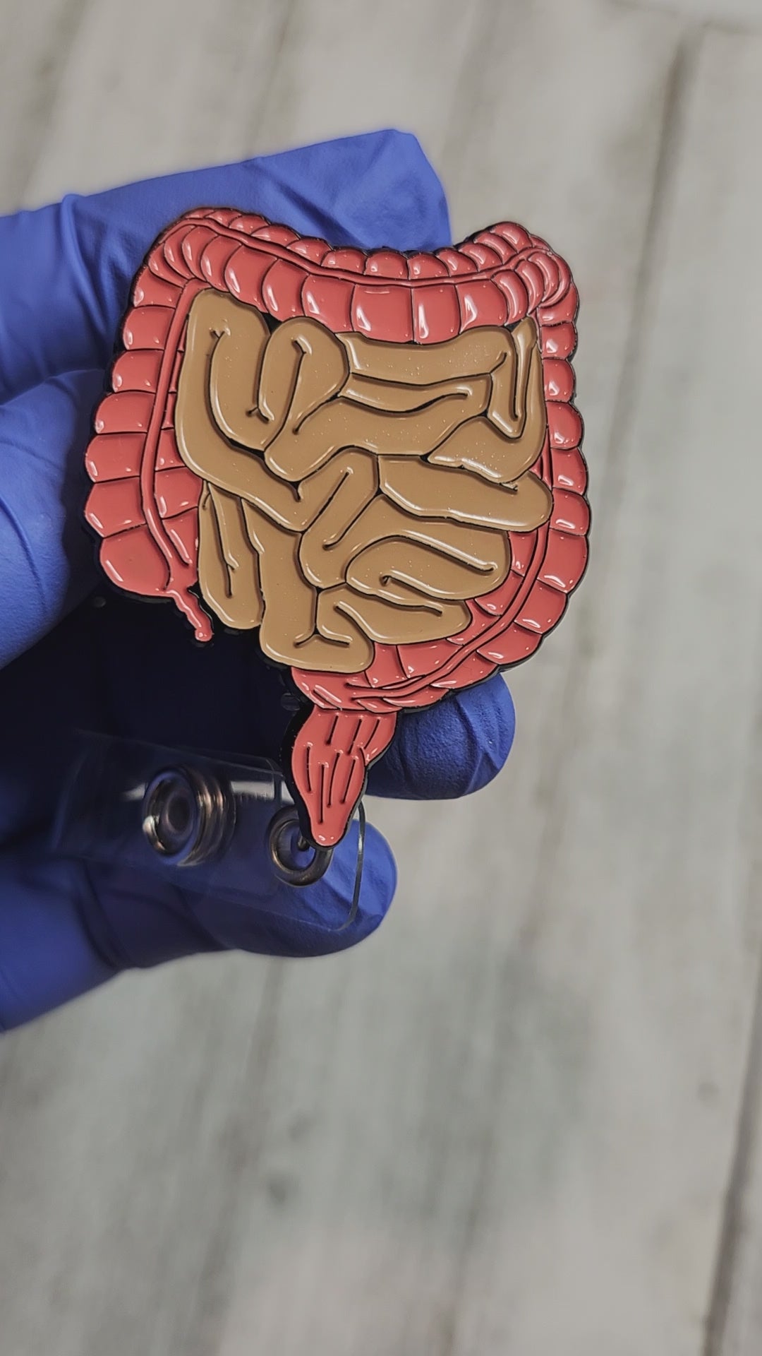 Anatomical Gastrointestinal/GI Retractable Badge Reel