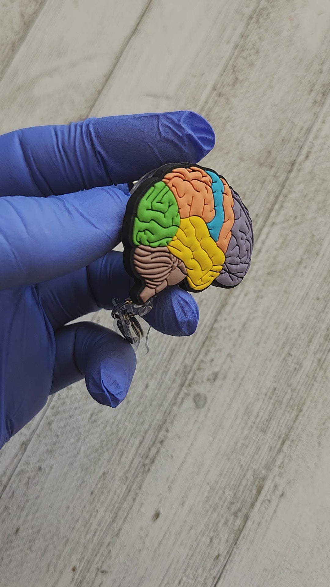 Anatomical Contoured Brain Neurology Retractable ID Badge Reel